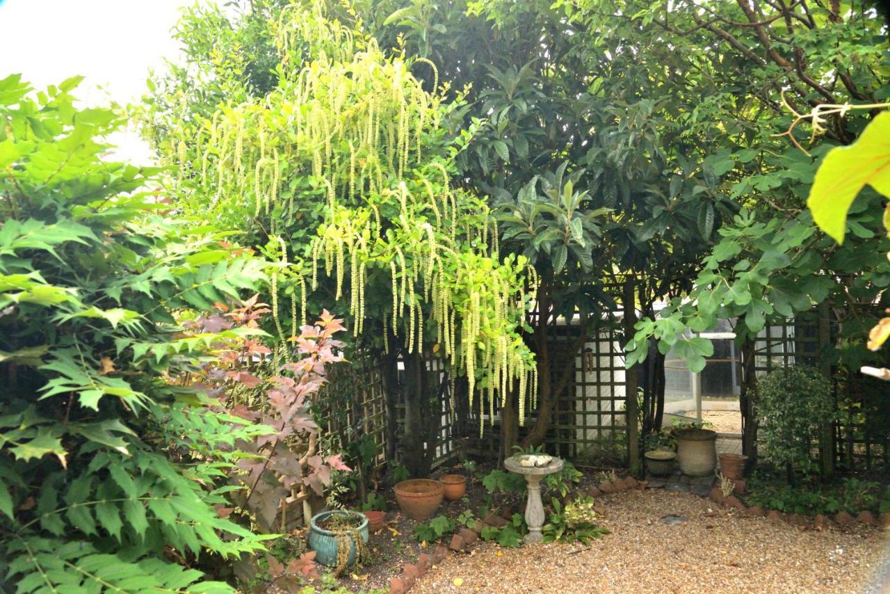 הוילה ניו אלרספורד Cosy House, A Train Spotter'S Delight! מראה חיצוני תמונה